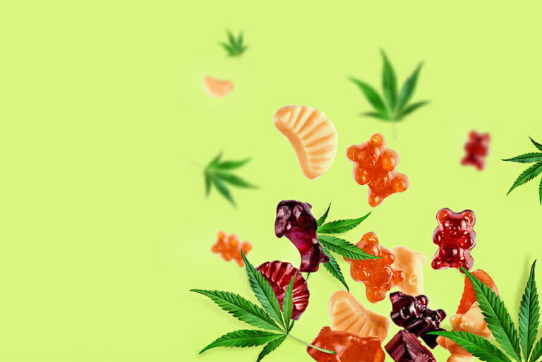 How to Choose the Right Cannabis Gummies for Your Needs